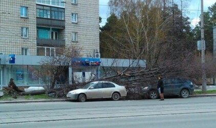 В Новосибирске продолжают ликвидировать последствия ночного урагана