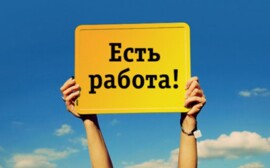 В Бердске уровень безработицы достиг 1,2%