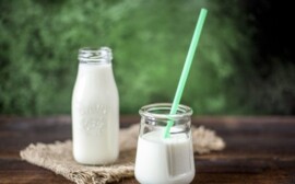 В Новосибирске построят завод по производству кисломолочных продуктов‍