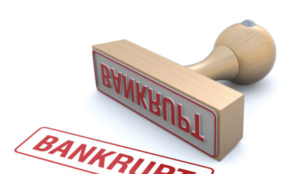 Под Новосибирском элитный поселок банкротят из-за долга в 600 тыс. рублей