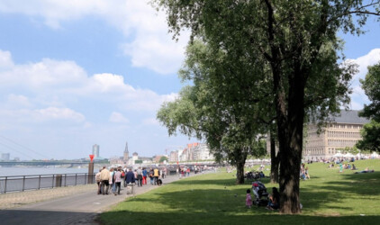 В Новосибирске 248,5 млн рублей выделили на благоустройство парка «Чемской берег»