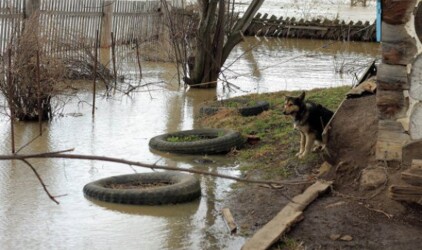 В Новосибирске уровень воды в Оби начал снижаться