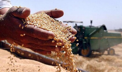 На совещании в Новосибирске обсудят продажу урожая зерна