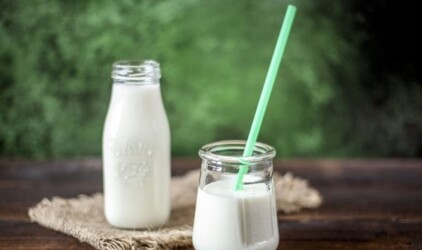 В Новосибирске построят завод по производству кисломолочных продуктов‍
