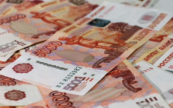 Новосибирский ПЛП получил на инфраструктуру 45,8 млн рублей