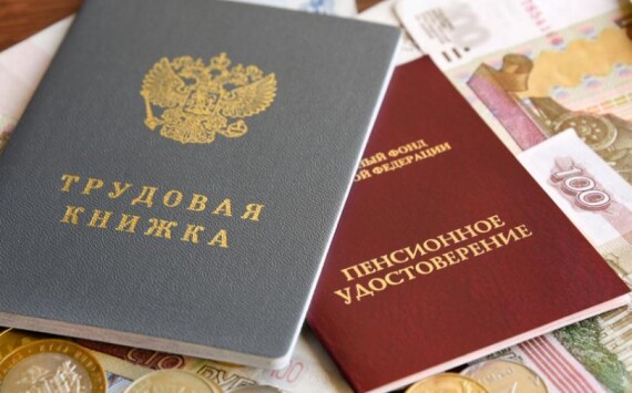 Глава Минпромторга Новосибирской области раскритиковал пенсионную реформу