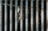 Власти Новосибирска ищут 40 млрд рублей на решение проблем с ливневками