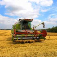 Аграрии Новосибирской области подвели итоги года 