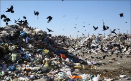 Травников рассказал о борьбе за расторжение мусорной концессии‍