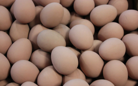 В Новосибирской области за год произвели 1,1 млрд яиц
