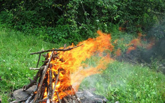 Власти запретили новосибирцам сжигать мусор и разводить костры