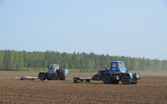 В Новосибирской области оценили потери АПК от аномальной погоды